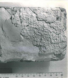 Stele used by Martha Roth in her dissertation.