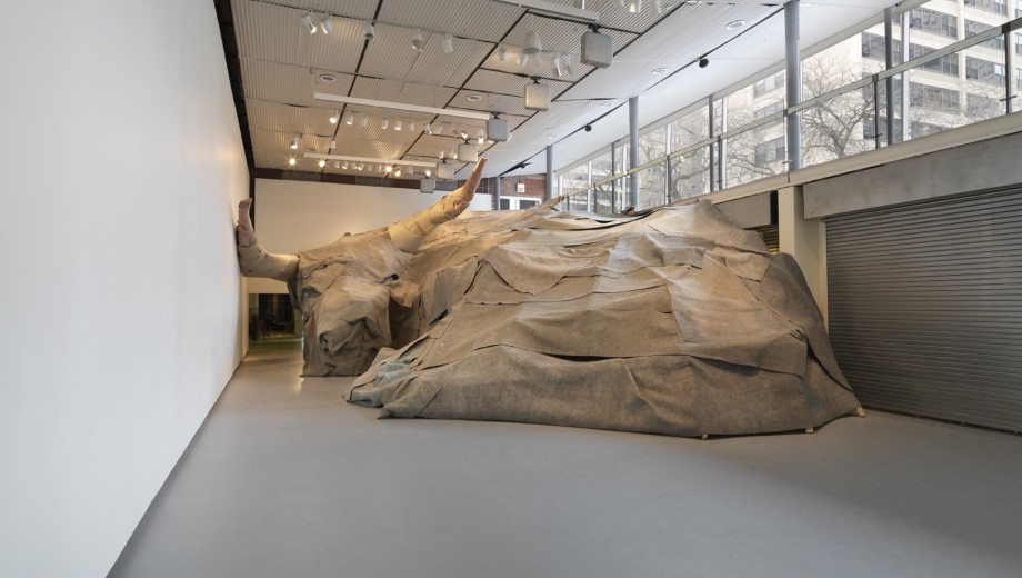 John Preus's The Beast was a 2014 installation at the Hyde Park Art Center.