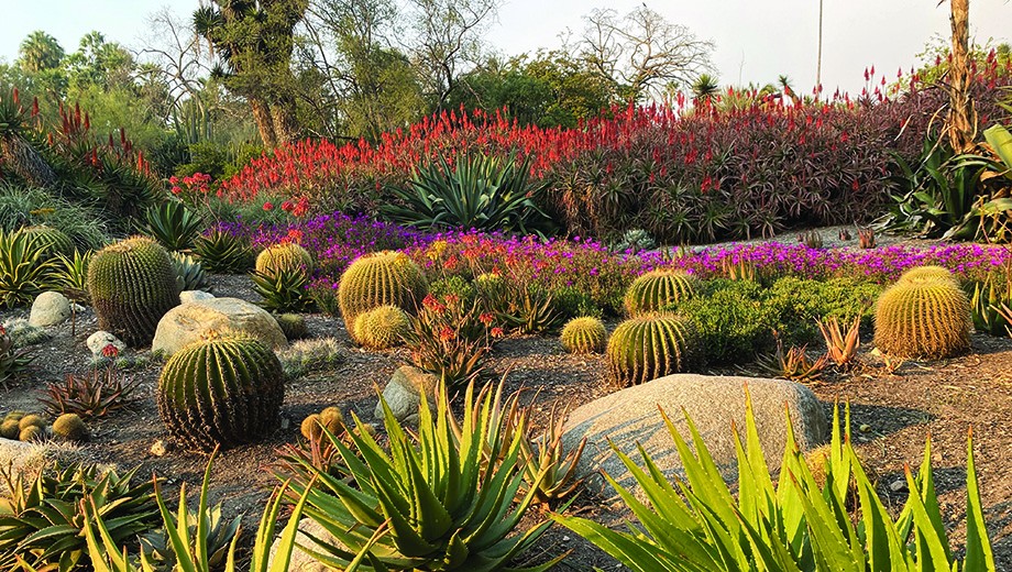 The Huntington's botanical gardens span 130 acres.