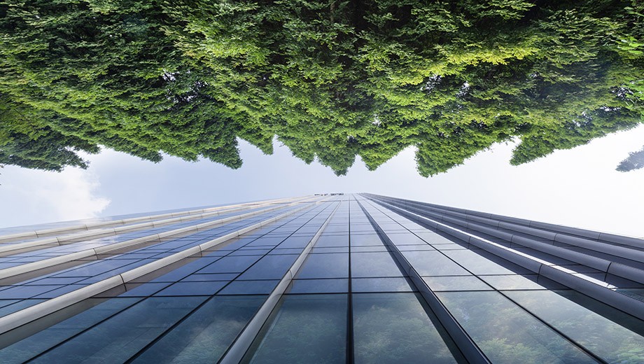 UChicago Humanities alumni bridge the gap between the climate and the conference room.