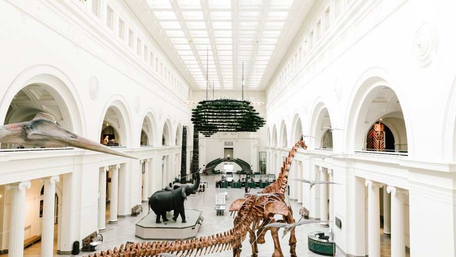 Máximo the titanosaur dominates a Field Museum exhibit, inspiring some visitors to mark the occasion in verse.